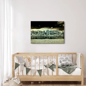 Obraz vodnej plochy (90x60 cm)
