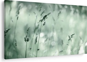 Obraz - Zelená lúka (90x60 cm)
