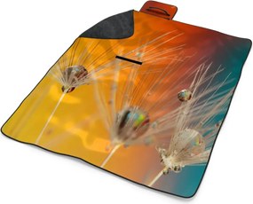 Sablio Plážová deka Odkvitnuté púpavy 2: 200x140 cm