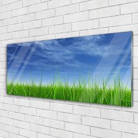 Obraz na akrylátovom skle Nebo tráva príroda 125x50 cm