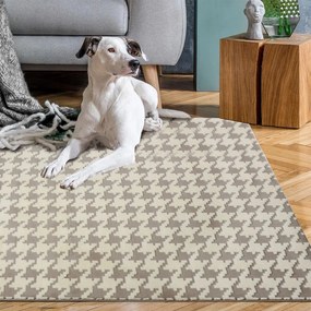Tutumi Clover, plyšový koberec 160x230 cm, béžová, SHG-04023
