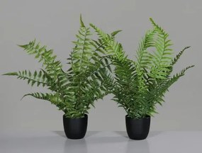 Umelá rastlina v kvetináči Kapradina, 36 cm (2 druhy)%