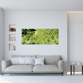 Obraz - Papradinový list (120x50 cm)