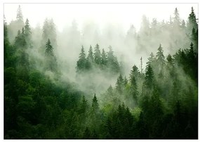 Samolepiaca fototapeta - Mountain Forest (Green) Veľkosť: 294x210, Verzia: Samolepiaca