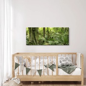 Obraz Tropický dažďový prales (120x50 cm)
