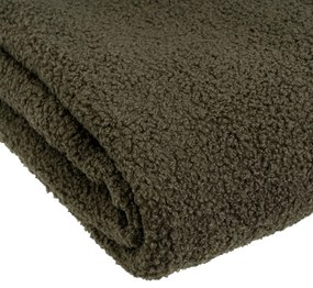 Zelená deka s baránkom 130x160 cm Sherpa Bouclé – Casa Selección