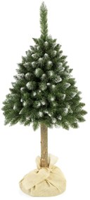 Vianočný stromček Borovica diamantová na pníku 180 cm