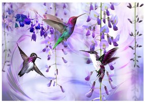 Artgeist Fototapeta - Flying Hummingbirds (Violet) Veľkosť: 250x175, Verzia: Standard