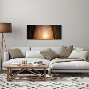 Obraz jesenného lesa v hmle (120x50 cm)