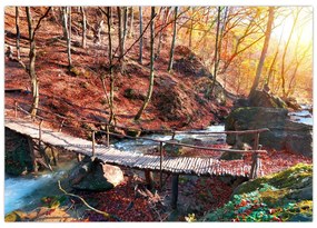 Obraz mosta - jesenné cesta lesom