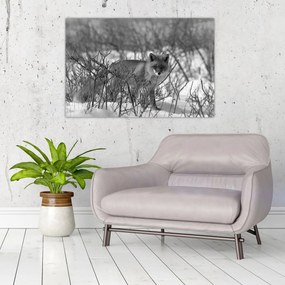 Obraz - Líška v zime (90x60 cm)
