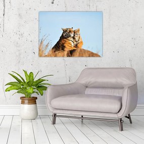 Sklenený obraz - Tigrice a jej mláďa (70x50 cm)