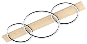 Eglo 99468 - LED Stropné svietidlo BOYAL 2xLED/12W/230V + LED/12W