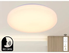 LED Stmievateľné stropné svietidlo s hlasovým ovládaním OPAL LED/48W/230V + DO