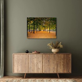 Sklenený obraz aleje jesenných stromov (70x50 cm)