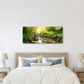 Obraz rieky v zelenom lese (120x50 cm)