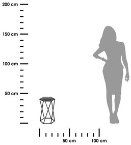 STOJAN NA KVETINÁČ HEXAGON 40X24X27 CM ČIERNA