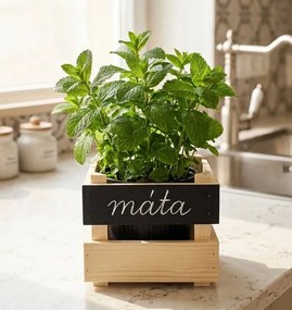 AMADEA Drevený obal na kvetináč s tabuľkou na písanie kriedou, 17x15x17 cm, drevený kvetináč Český výrobek