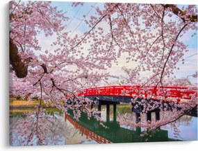 Obraz - Hirosaki, Japonsko (70x50 cm)