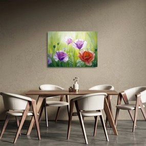 Sklenený obraz - Vlčie maky (70x50 cm)