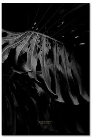 Gario Obraz na plátne Čiernobiela monstera - Dmitry Belov Rozmery: 80 x 120 cm