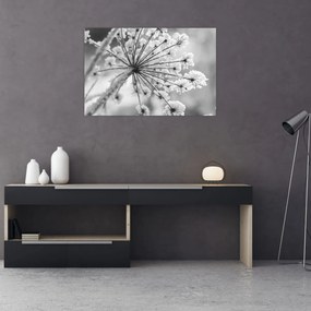 Obraz - Kvetina v zime (90x60 cm)