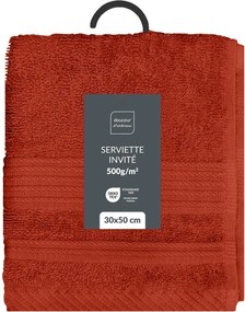 Froté bavlnený uterák v tehlovej farbe 30x50 cm Tendresse – douceur d'intérieur