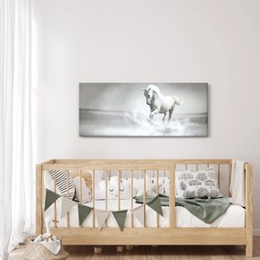 Obraz - Biely kôň (120x50 cm)