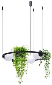 Moderný luster Plant 3