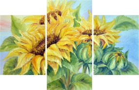 Obraz rozkvitnutých slnečníc (90x60 cm)