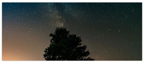 Obraz nočnej oblohy so stromami (120x50 cm)