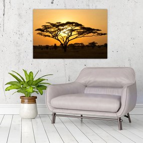 Obraz - Africká savana (90x60 cm)