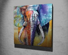 Obraz na plátne Elephant ethno KC306 50x70 cm