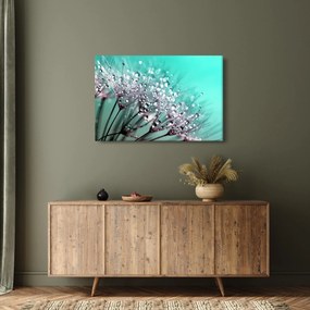 Obraz - orosená rastlina (90x60 cm)