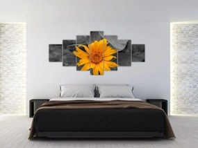 Obraz oranžového kvetu
