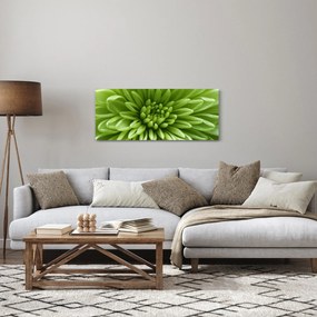 Obraz - Makro snímka rastliny (120x50 cm)