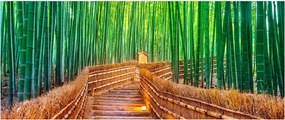 Obraz - Japonský bambusový les (120x50 cm)