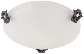 Candellux Lamp Stropné svietidlo EVA 30 1X60W E27 SB-3837