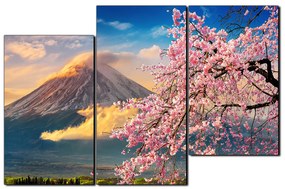 Obraz na plátne - Hora Fuji a čerešňové kvety na jar 1266D (105x70 cm)