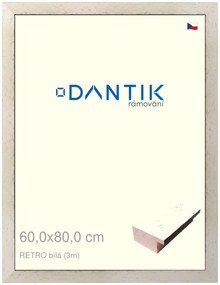 DANTIK rám na obraz 60x80 | RETRO bílá (Plexi Čiré)
