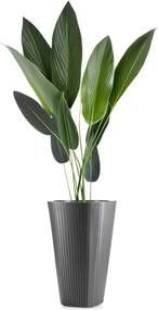 PLASTOVÝ KVETINÁČ MORA 39X61 CM ANTRACITOVÁ