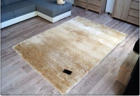 Dekorstudio Krémový Shaggy koberec LUREX s lesklým vlasom Rozmer koberca: 160x220cm