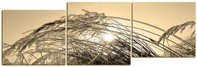 Obraz na plátne - Zimné ráno - panoráma 545FD (120x40 cm)