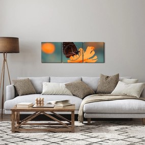 Obraz - motýľ na oranžovom kvete (s hodinami) (90x30 cm)
