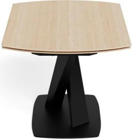 Rozkladací jedálenský stôl Morella 160/240 cm béžový/čierny