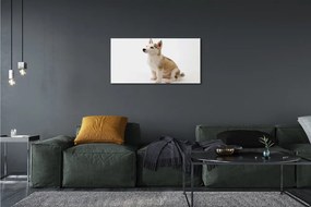 Obraz na plátne Sediaci malého psa 140x70 cm