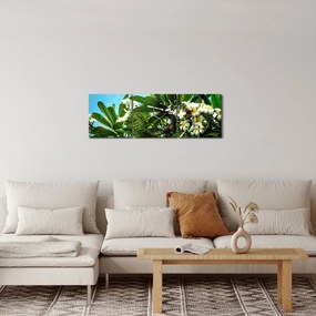 Obraz - Plumeria (s hodinami) (90x30 cm)