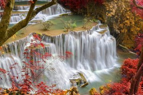 Obraz lesný vodopád