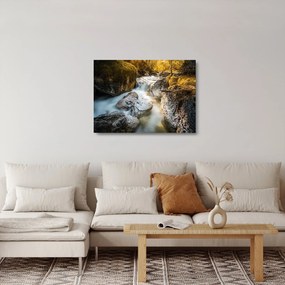 Sklenený obraz - Lesný potok (70x50 cm)