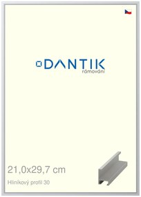 DANTIK rám na obraz 21x29,7 | ALU Stříbrná matná (Sklo Čiré)